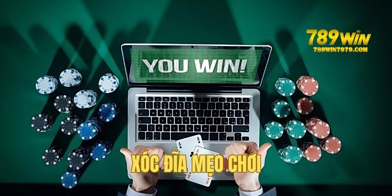 Tổng hợp mẹo cược hoàn hảo dành cho xóc dĩa