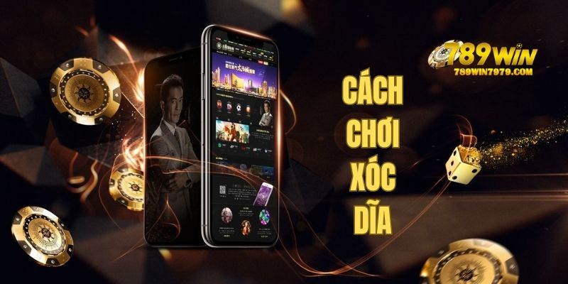 Tổng quan về thế giới xóc đĩa